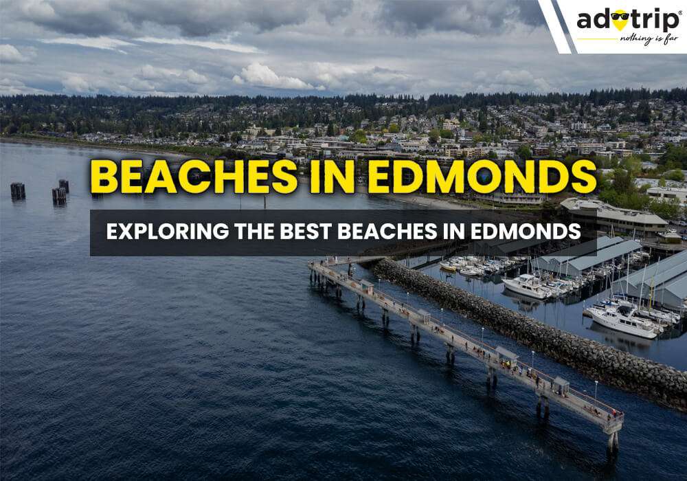 Best Beaches In Edmonds